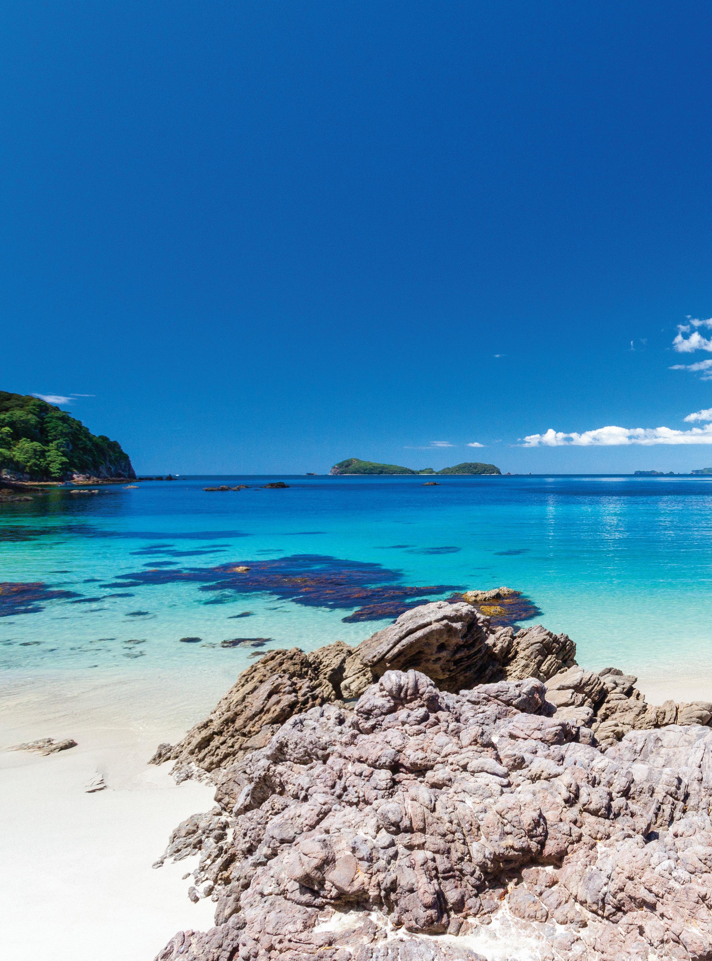 Must-Do's Central & Lower North Island 2022-23 by AA Traveller - Issuu